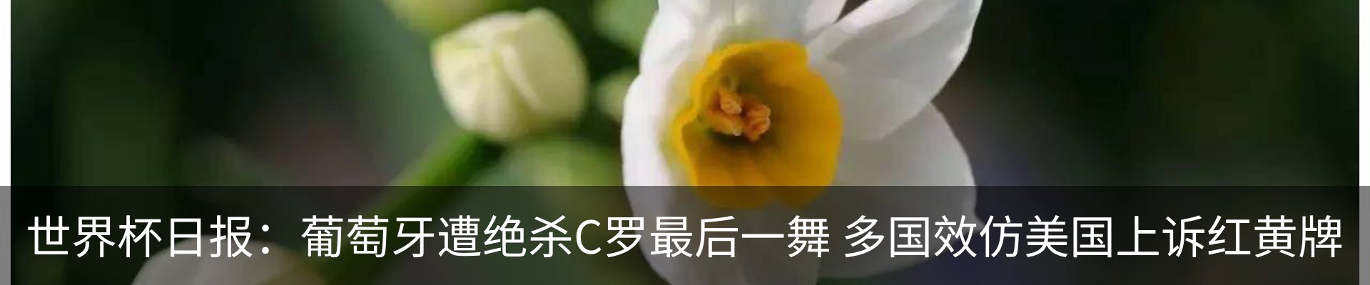 热点资讯