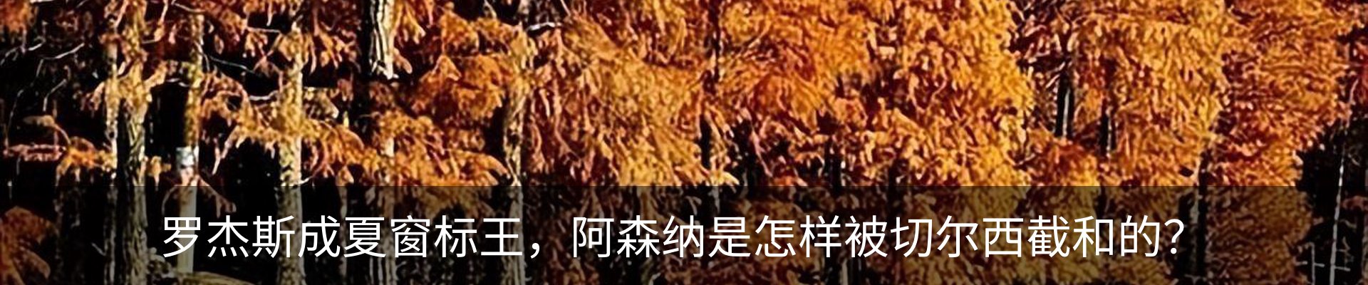 热点资讯